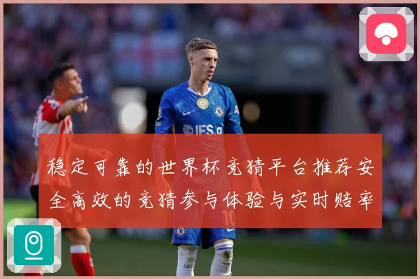 稳定可靠的世界杯竞猜平台推荐安全高效的竞猜参与体验与实时赔率数据研判-深度解析