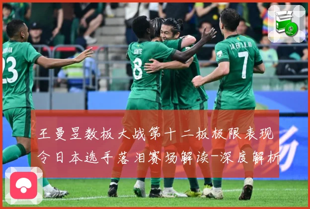 王曼昱数板大战第十二板极限表现令日本选手落泪赛场解读-深度解析