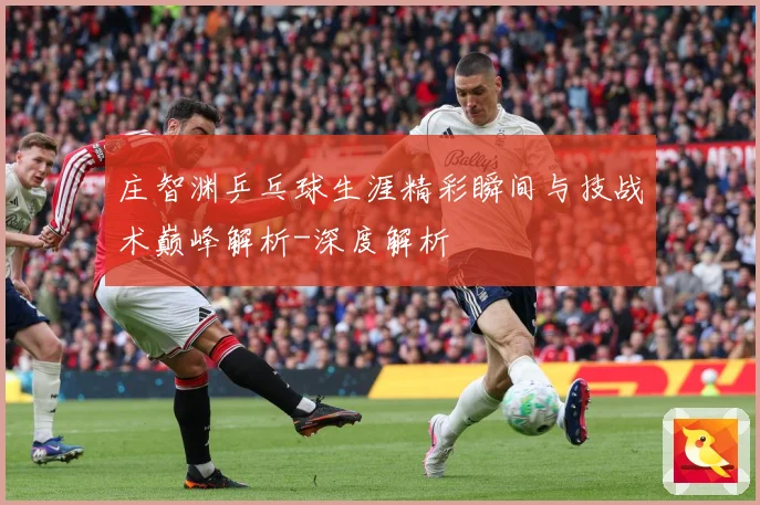 庄智渊乒乓球生涯精彩瞬间与技战术巅峰解析-深度解析