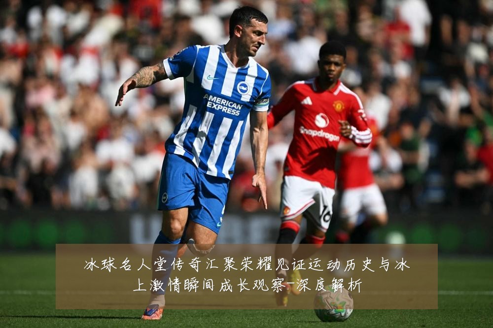 冰球名人堂传奇汇聚荣耀见证运动历史与冰上激情瞬间成长观察-深度解析
